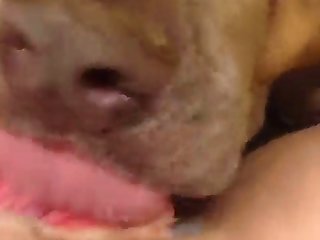 Indian Porn Web Series Xxx