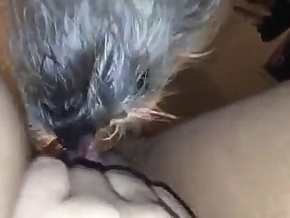 China Xxx Porn Vedio
