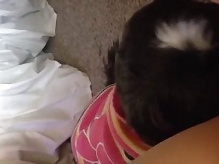 Rebeca Linareso Porn Xxx