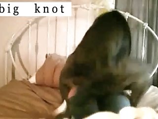 Vixenp Xxx Porn