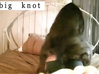 Vixenp Xxx Porn