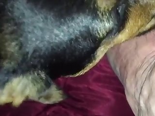 Sex Porn New Xxx