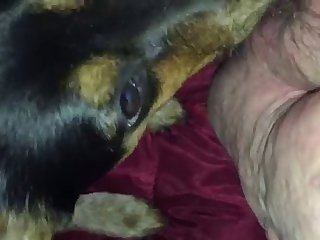Sex Porn New Xxx