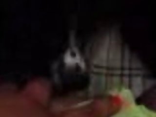 Big Ass Xxx Porn Videos