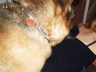 Marika Dog Porn