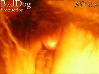 Girl Gets Pregnant By Dog Porn