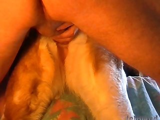 3d Animal Sex Compilation