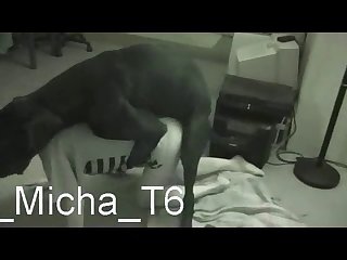 Xhamster Zoo Porn Videos