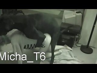 Xhamster Zoo Porn Videos