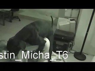 Xhamster Zoo Porn Videos