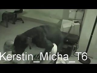 Xhamster Zoo Porn Videos