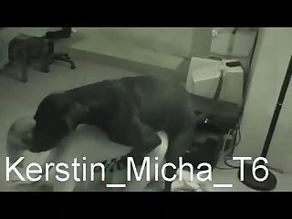 Xhamster Zoo Porn Videos