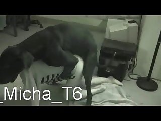 Xhamster Zoo Porn Videos