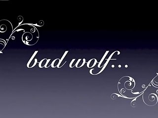 Free Gay Animal Sex Stories