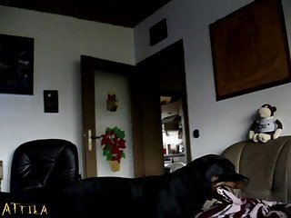 Preg Zoo Porn