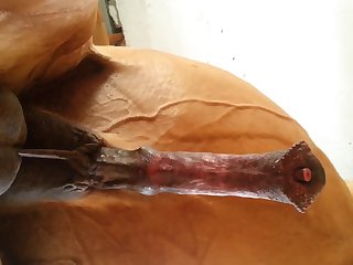 Under Horse Beastforum Geles Masturbation