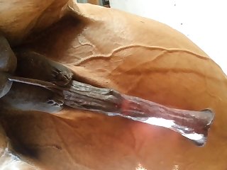 Under Horse Beastforum Geles Masturbation