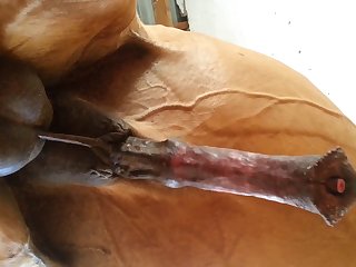 Under Horse Beastforum Geles Masturbation