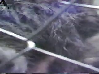 Dakota Airing It Out 02 Chunk 4