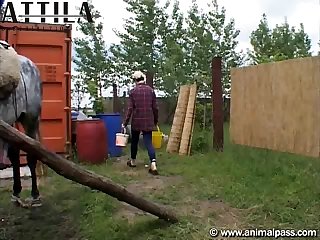 Hvs Zee 091 Wmv Xl 01 Horse Sex Movie 4