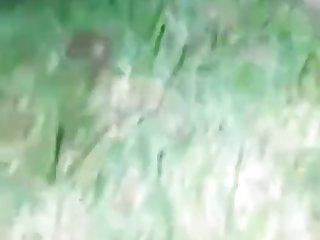 Sex Videos Zoophilie