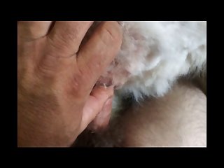 Girl Tongue Kissing Dog Porn