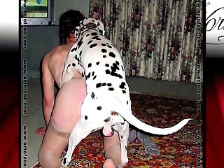 Jessie Dog Porn