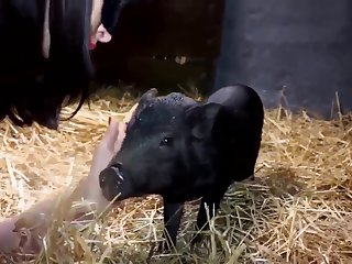 Mature Fucks Dog Xxx