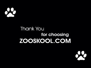 3d Zombie Dog Xxx