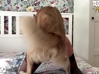 Конский Член