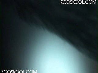 Accommodation Provided There Will Be Very Pleasant