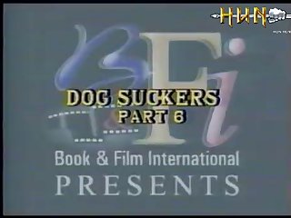 Dog Suckers 6
